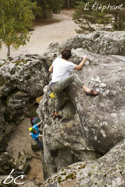 "Orange Circuit" (1)